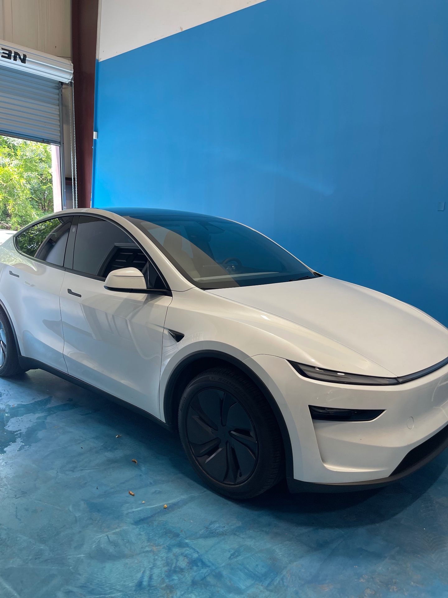 Tesla Model Y · Full tint